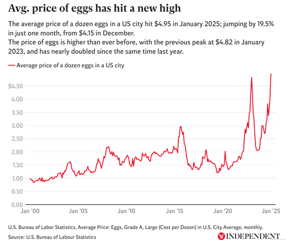 eggs img