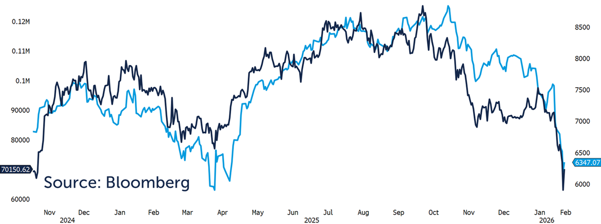 software stock